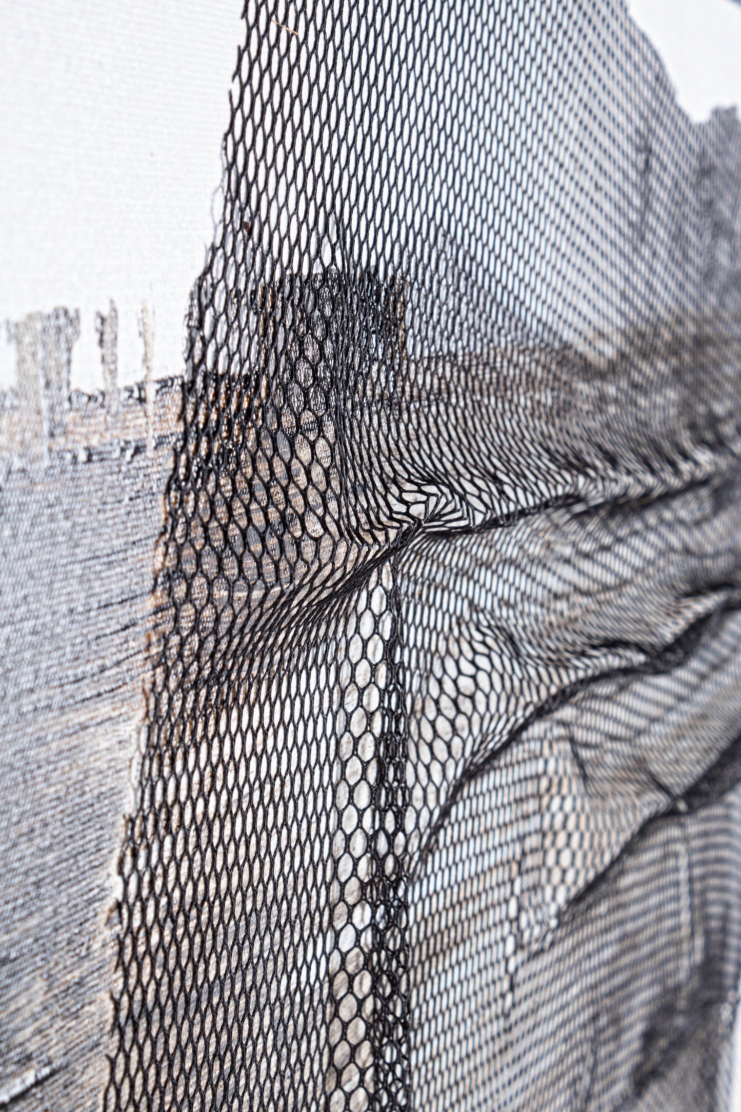 DIPINTO OLIO C-C CROWN I194-1 82.5X122.5