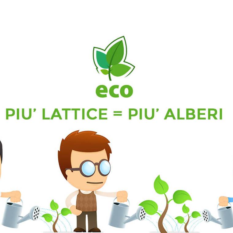 Materasso 100% lattice di origine naturale a zone con tessuto antiacaro alto 20 cm - POLARIS